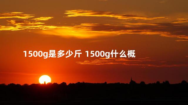 1500g是多少斤 1500g什么概念